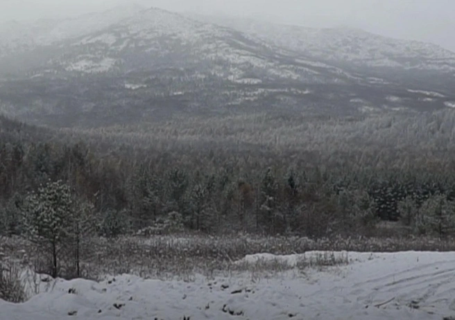 «Место само по себе очень опасное». В Красноярском крае продолжаются поиски пропавшей семьи с ребенком | Источник: NGS24.RU