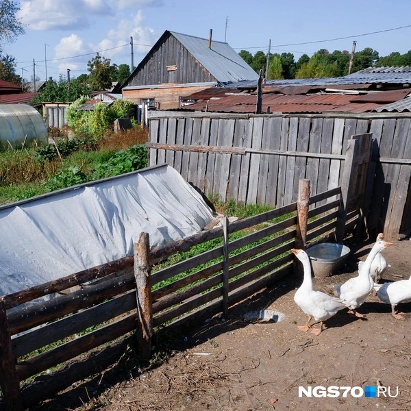 Источник: Варвара Фролова / NGS70.RU