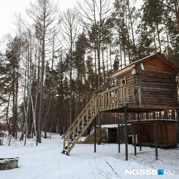 Так выглядят фито-бани | Источник: Евгений Софийчук / NGS55.RU