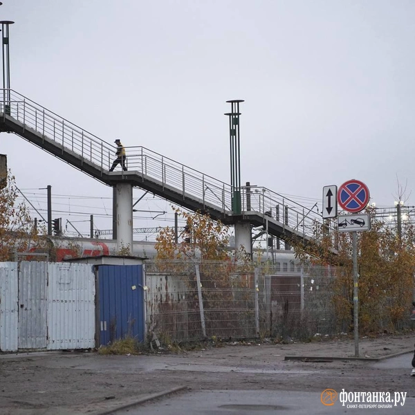 Источник: Павел Даиси/ «Фонтанка.ру»