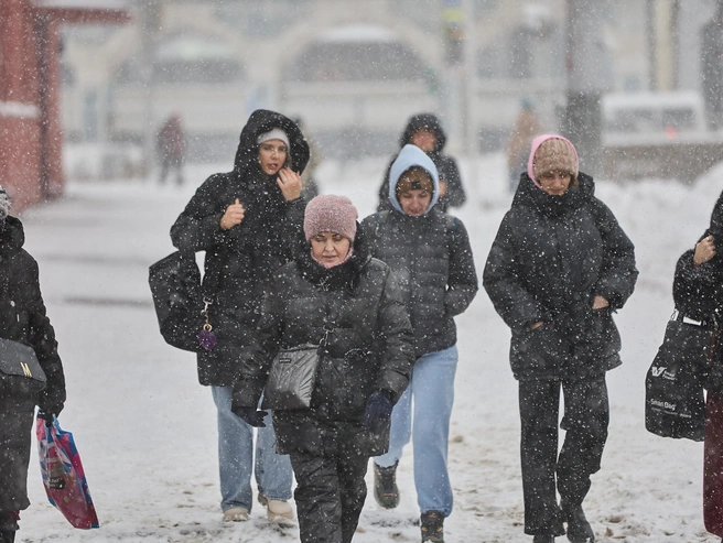 Помимо снега, в Новосибирске дует сильный холодный ветер | Источник: Александр Ощепков / NGS.RU