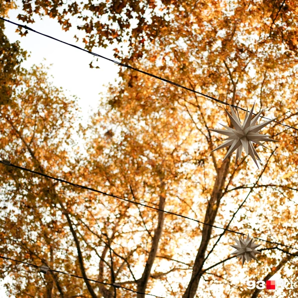 Источник: Дарья Паращенко / 93.RU