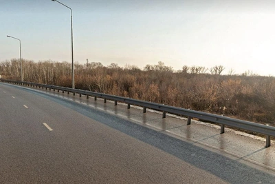 Строительство парка на Левом берегу отменили из-за жука