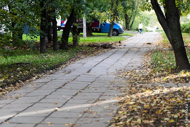 Источник: st.cherinfo.ru