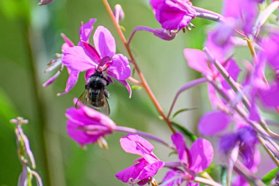 2025 год стал вторым самым теплым в истории Воронежской области
