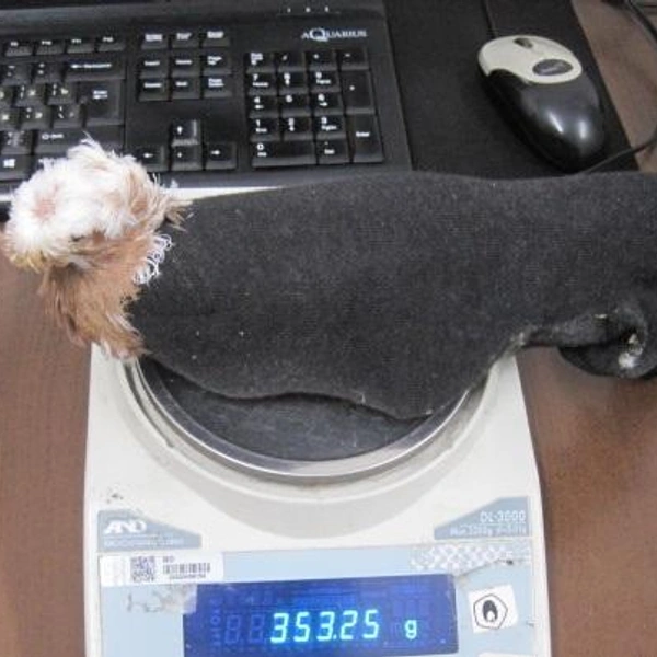 Источник:  Северо-Западное таможенное управление