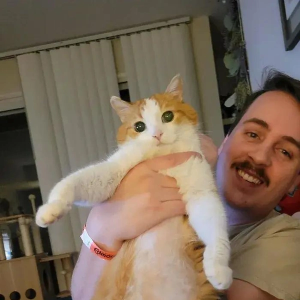 Источник: соцсети