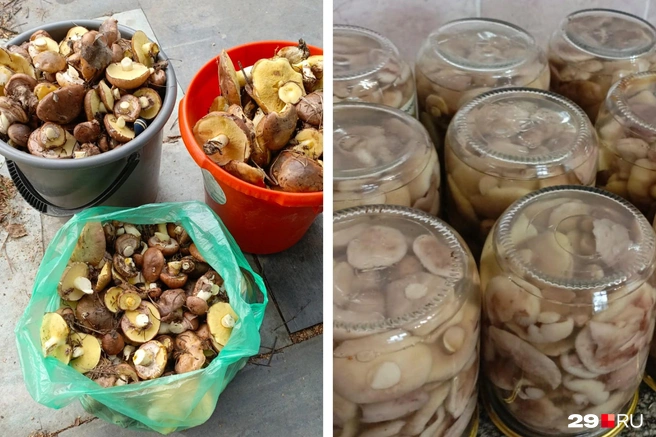 Орыс порносы: Жалғыз әженің үйінде жалдаушы