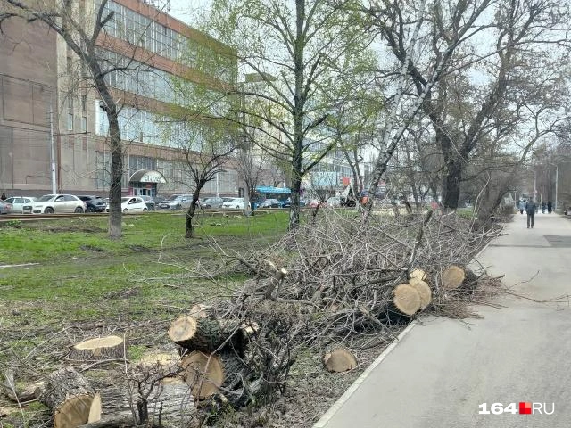День, когда 11 трамвай остановился | Источник: Сергей Гендин / 164.RU