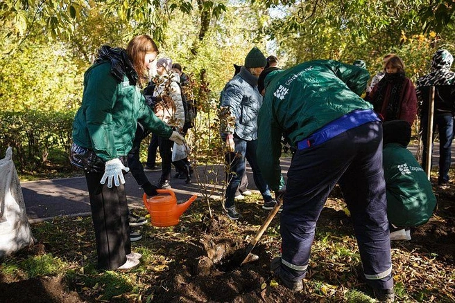 Мероприятия по озеленению территории в лицее № 9 проходят уже второй год подряд | Источник: АО «ЕНИСЕЙСКАЯ ТЕРРИТОРИАЛЬНАЯ ГЕНЕРИРУЮЩАЯ КОМПАНИЯ (ТГК-13)»
