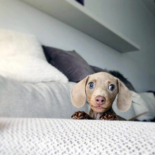 Источник: соцсети