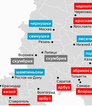 «Яндекс» провел исследование, какие продукты заготавливают на зиму в разных регионах России (карта)