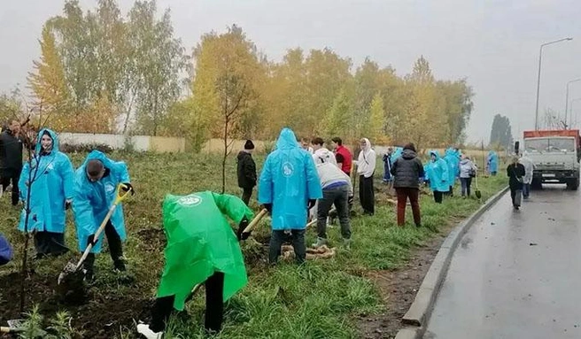 На улице Белана высадили 92 липы | Источник: gtn-lipetsk.ru