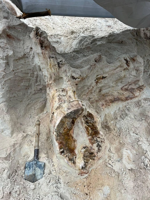 Источник: Григорьев Д. В.