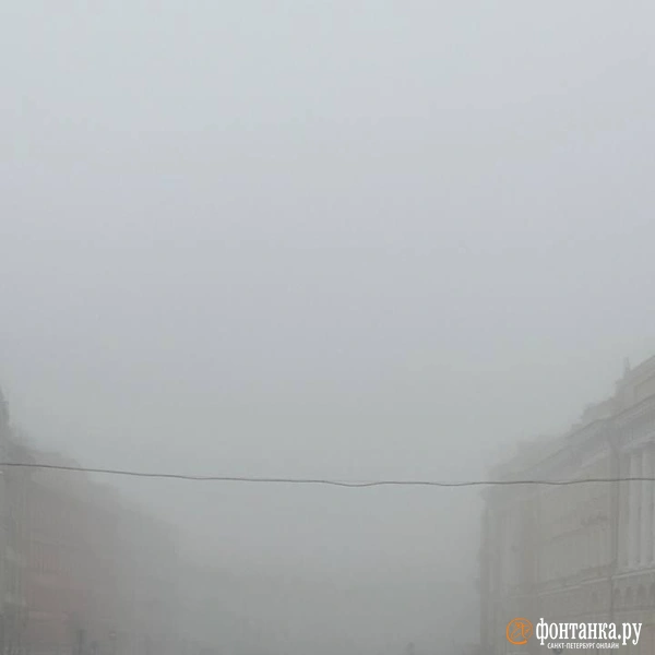 Источник: читатель «Фонтанки»