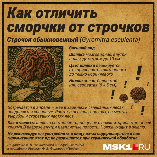 А вот так ядовитые строчки | Источник: Полина Авдошина / Городские медиа