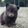 userpic__Дарья