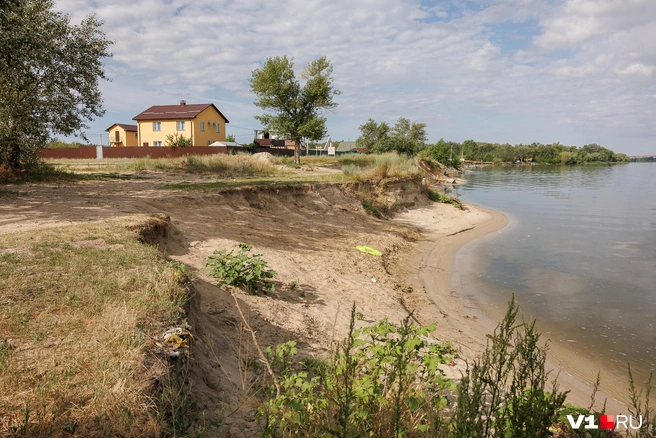 Природная идиллия на берегах тихого Дона уже давно притягивает к себе не только туристов и рыбаков | Источник: Алексей Волхонский / V1.RU
