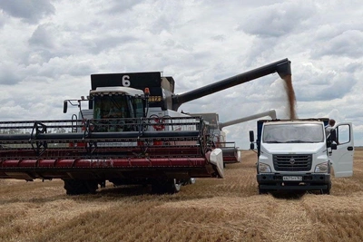 Federal ministry upholds unrealistic export targets for Rostov region