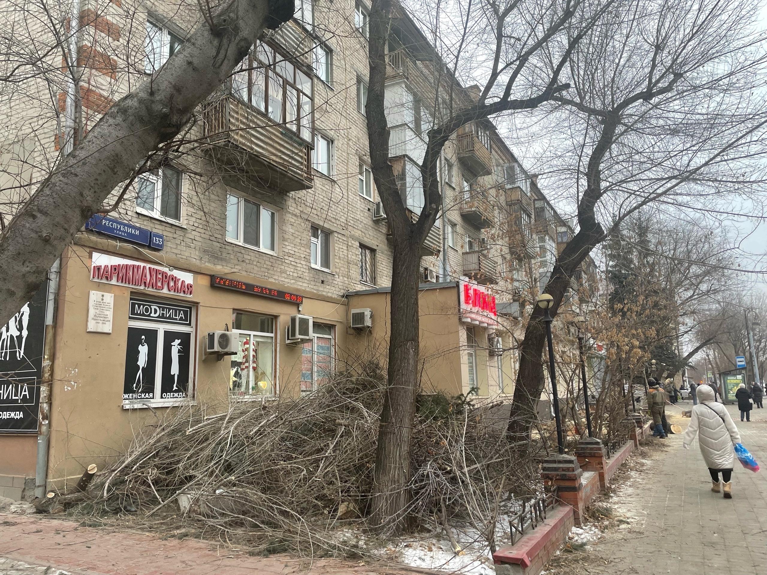 В Тюмени около автобусной остановки «Холодильная» вырубили тополя: деревья  опасны для дома - 30 ноября 2023 - 72.ру