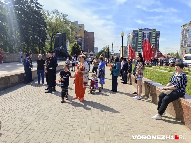 Источник: Андрей Пашинский / Voronezh1.ru