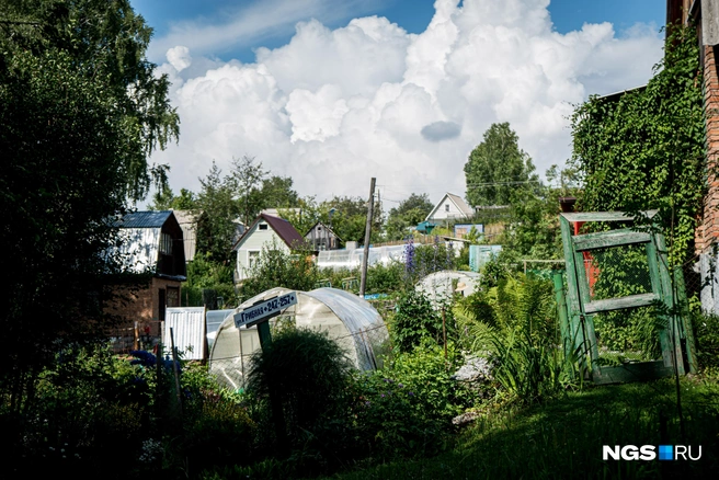 В июне работы на огороде очень много | Источник: Александр Ощепков / NGS.RU