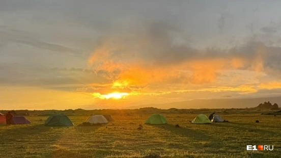 Еще здесь можно безопасно наблюдать за животными в их естественной среде обитания \| Источник: Павел Кошкин