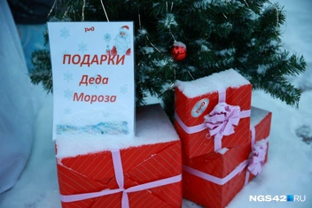 Источник: Максим Серков / NGS42.RU