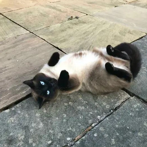 Источник: соцсети