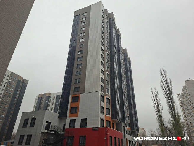 Пока идет проверка, жильцам 17-этажки придется пользоваться только одним лифтом, грузовым | Источник: Алёна Воропаева / Voronezh1.ru