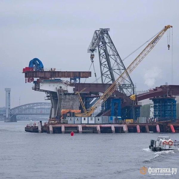Источник: Сергей Николаев / «Фонтанка.ру»