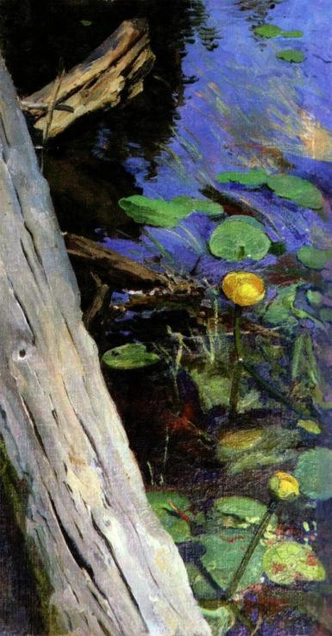 Елена Поленова. Кувшинки. Ранее 1898 | Источник: Wikimedia Commons 