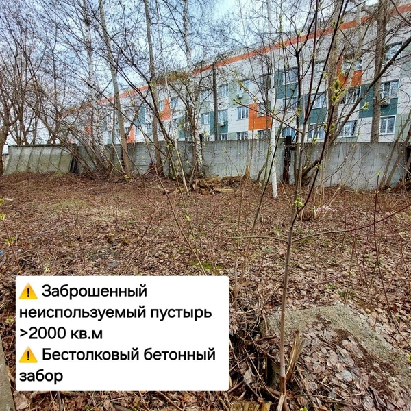 Источник: Ильхам Шагараев 