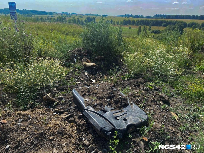 Источник: Елизавета Богатырева / NGS42.RU