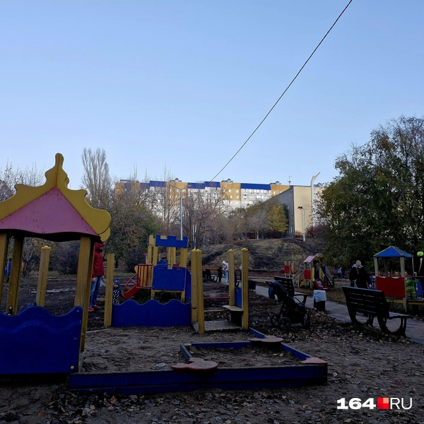 Детская площадка | Источник: Виктория Федорова / 164.RU