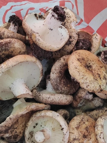 Источник: Анастасия Демидова