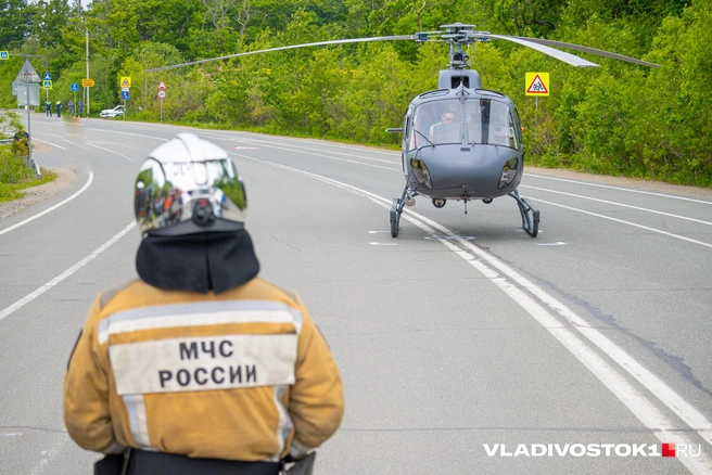 Источник: Елена Буйвол / VLADIVOSTOK1.RU