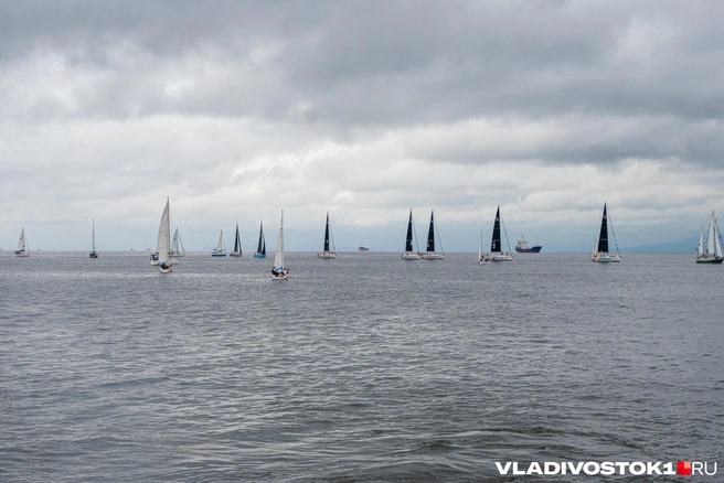 Источник: Елена Буйвол / VLADIVOSTOK1.RU