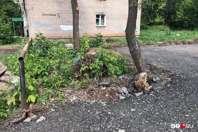 Как видно на фото, на небольшой кусок участка асфальт не положили | Источник: читатель 59.RU