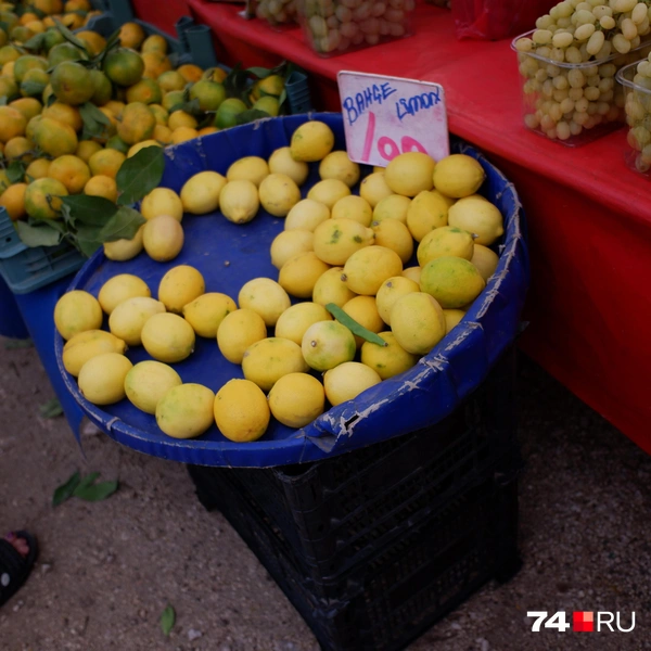 Источник: Наталия Колмогорова