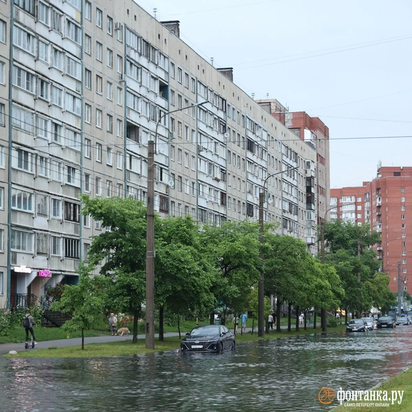 Источник: Сергей Михайличенко / FONTANKA.RU