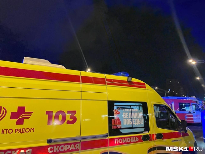 Источник: Вера Борисова / MSK1.RU