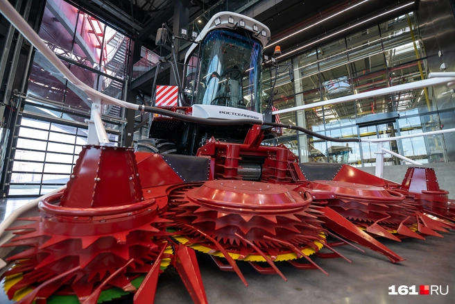 Источник: Евгений Вдовин / 161.RU