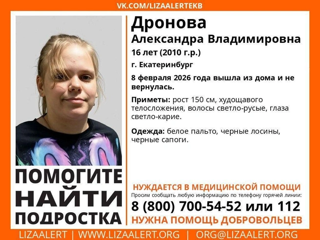 Источник: «ЛизаАлерт» Свердловской области