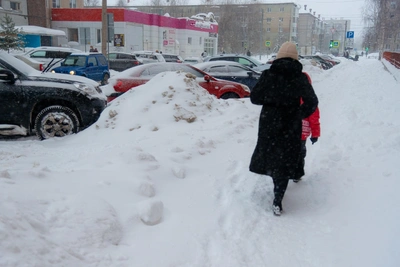 After Snow Melt, Cold Snap Expected in Arkhangelsk Oblast