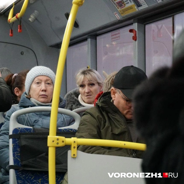 Источник: Дмитрий Волгин / Voronezh1.ru