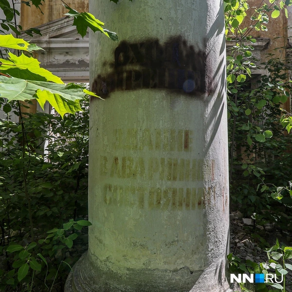 Источник: Наталья Бурухина / NN.RU