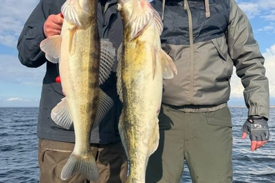 Волоцков и Попов поймали судаков на Волгоградском водохранилище