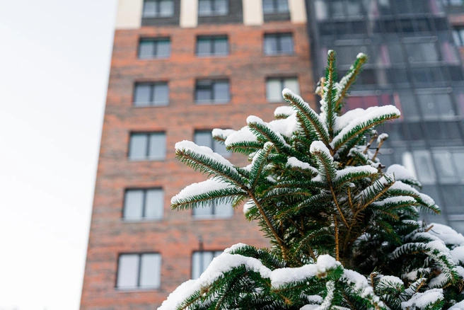 В планах у застройщика на ближайшие годы&nbsp;— построить около 500 тысяч квадратных метров жилья | Источник: Группа Аквилон