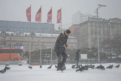 Снегопад во Владивостоке: когда начнется и прогноз
